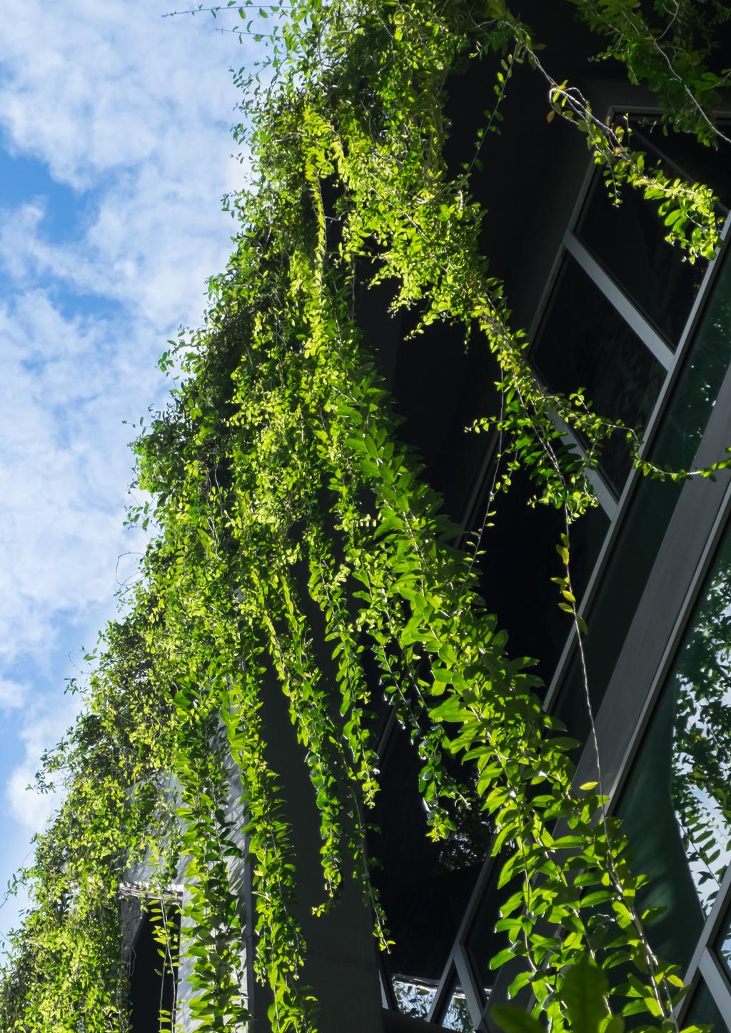 Duurzaam ondernemen, een groene