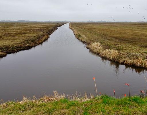 Dat is onder meer het gevolg van de slapte van de veengronden hier en de vaak optredende overstromingen.