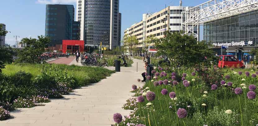 Swingende groene pleinen Aandacht voor mooie parken in stedelijk gebied verhoogt de waarde van de omgeving op allerlei gebieden. Niet alleen zijn parken onmisbaar als het gaat om luchtkwaliteit.