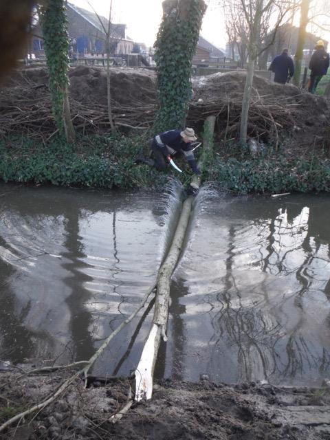 Twaalf werkers begonnen aan de wilgen met de zwaarste takken. De weersvooruitzichten waren slecht, doch tot 13.00 uur bleef het droog.