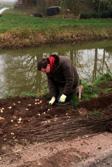 Robert Hillebrand heeft met zijn kraantje de aarde los gemaakt waarna het eenvoudig planten was. Het weer was goed alsmede de koffie met de heerlijke appeltaart.