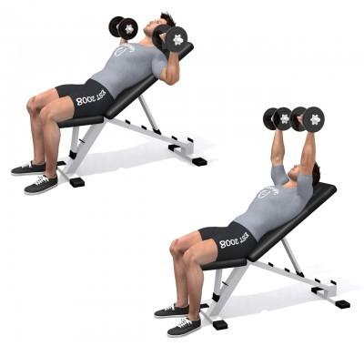 Full body stretch staand Brede rugspier - Biceps, Onderarmen Set 1 1 x Coach notitie: Rek de spieren de een beperking geven voor de uitvoering van een oefening.. Plaats je voeten in schredestand.