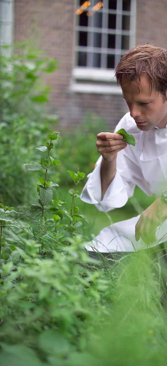 5. wil: Een gezonde en vitale samenleving Omdat dit de productiviteit van bevordert Gasten hebben vertrouwen in ondernemers in de gastvrijheidsbranche.