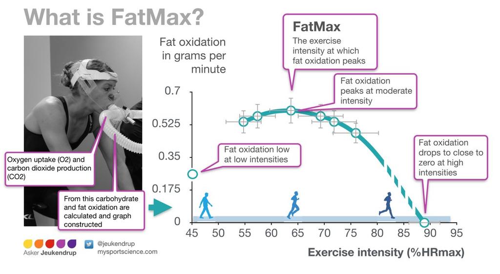 Actief herstel http://vtdl.triathlon.be/wp-content/uploads/presentatie_trainingszones.pdf Fatmax (gr FFA / min) Synoniemen: maximal fat oxidation rate, vetdrempel, aerobe drempel.