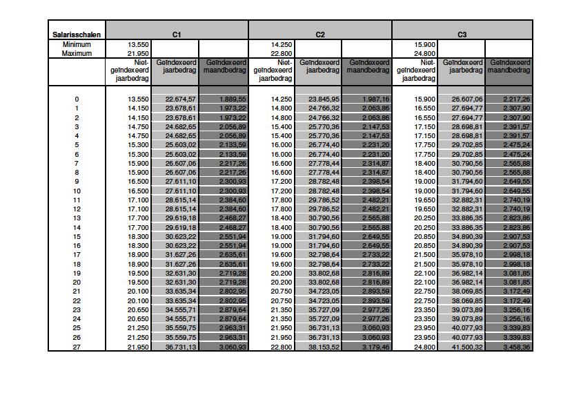 11 Salarisschaal C1-C3 Bovenop het brutojaarsalaris heb je ook recht op een haardtoelage als je gehuwd, samenwonend of alleenstaande met één of meerdere kinderen die recht geven op kinderbijslag bent.
