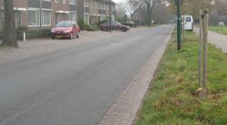 gemeente H-L Advies. a. Parkeren verhinderen tussen de bomen op de berm tussen rijweg en fietspad. b. Handhavend optreden bij fout parkeren en overschrijding van snelheidslimiet.