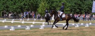 Teun van den Broek Voorzitter Stichting Concours Hippique Bergen op Zoom Teun van den Broek, van Ponyruiter tot Voorzitter.