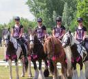 Een vierdaags programma vol met prachtige paardensport op hoog niveau, afwisselende shows en clinics, dat samen met een Good Living