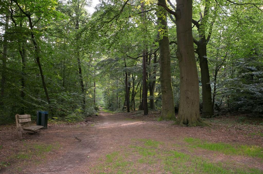 Ligging en indeling 1e verdieping: Overloop met kast, 1 ruime slaapkamer aan de achterzijde van de woning met een grote