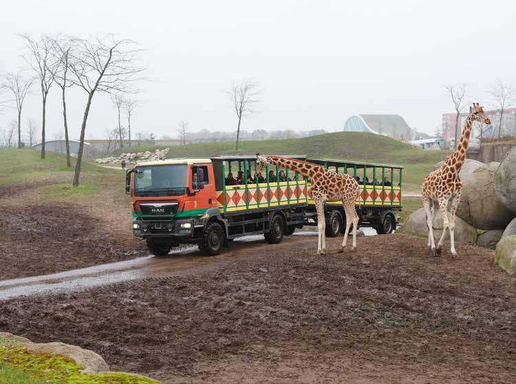 Dan kunt u dit aangeven op het aanmeldformulier. De organisatie regelt dan vervoer en neemt hierover contact met u op.