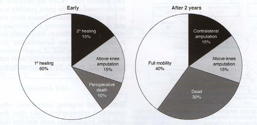Figuur. 4 Natuurlijk verloop en lot van patiënten met kritische lidmaat ischemie.