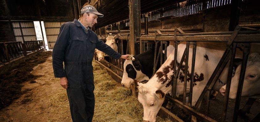 Hoe groot is de biologische landbouwsector? Het aantal boeren dat aan biologische landbouw doet, blijft overal in Europa stijgen. Ook de consument vraagt steeds vaker om bio. HOEVEEL BIO?