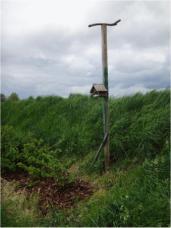 IPM CONTROLE IPM richtlijnen opgesteld met de sector Controle checklist (cf Vegaplan standaardfavv) PREVENTIE of VOORKOMEN TEELTTECHNIEK 1 (A) major verplicht 2 (B) minor 70 % conform MONITORING of