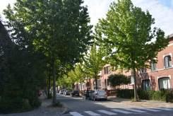 De weinige voortuinstroken zijn er vaak verhard. Het openbaar groen in de wijk is minimaal en op slechts één locatie geconcentreerd: het Van Havreplein.
