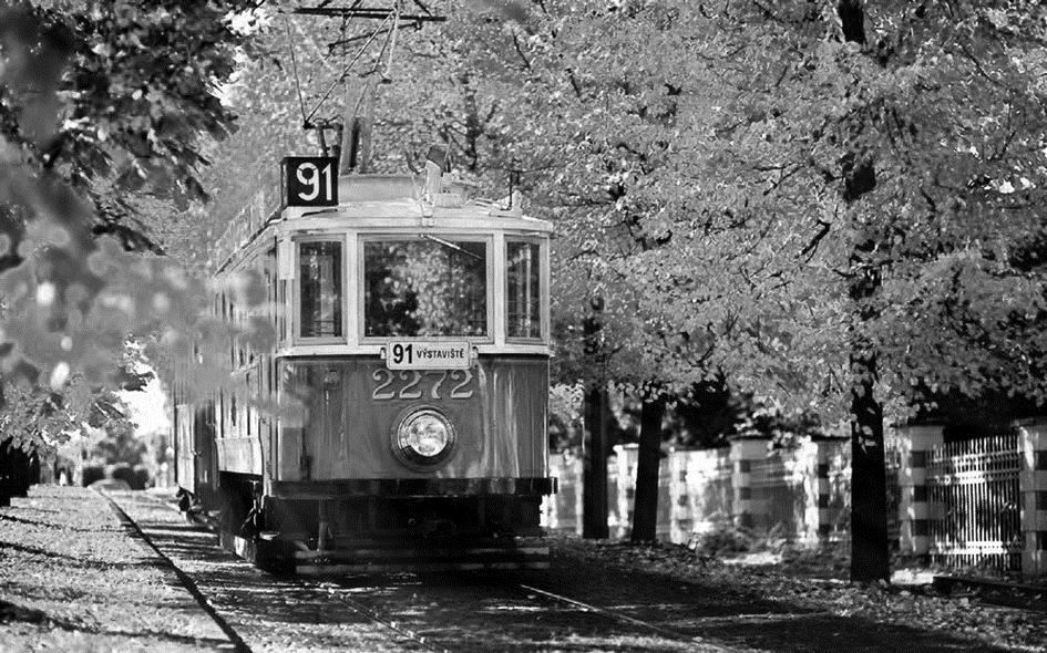 De tram In de herfst kunnen boombladeren op natte tramrails voor problemen zorgen. Met blad op de rails is de remweg van een tram langer.