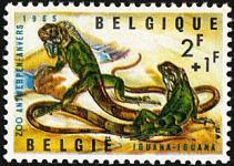 1344/1348 - Zoo van Antwerpen III -