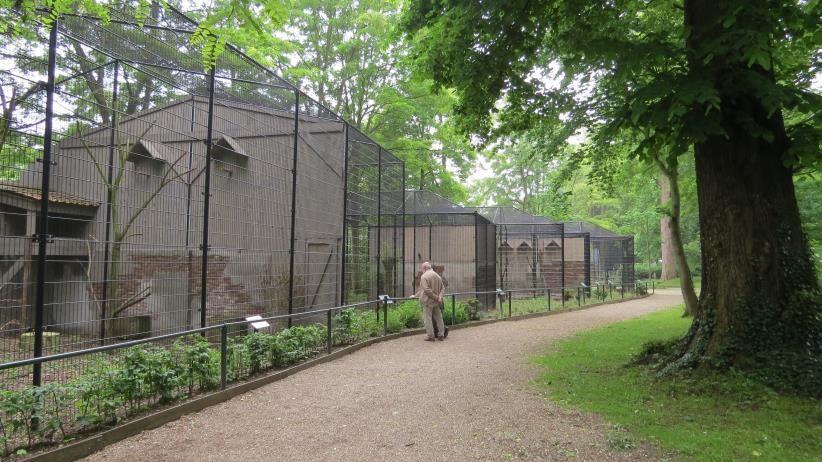 Fazantendag Kasteelpark Born Naar jaarlijkse gewoonte heeft eind september onze fazantendag plaats. Dit jaar hebben we Kasteelpark Born uitgekozen als locatie.