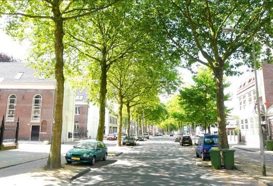De wijk: Goirke Het Goirke is een sfeervolle woonwijk met de Goirkestraat centraal gelegen als uitvalsweg.