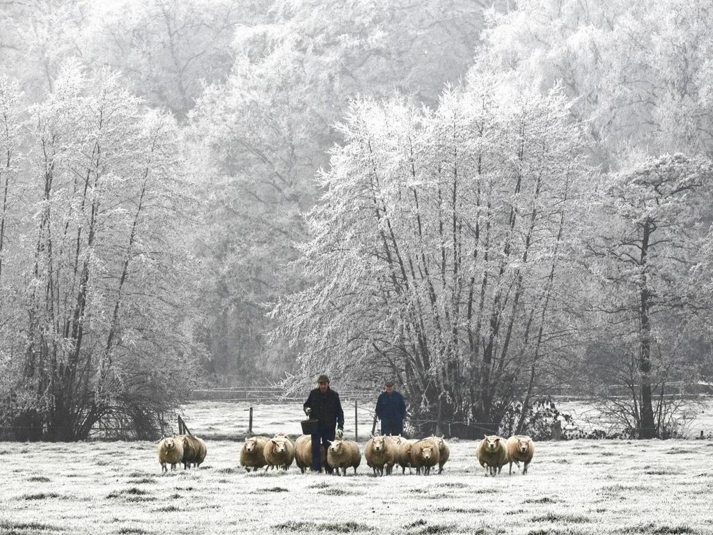 Foto van de Maand Maart Thema: Winterlandschap Gemaakt door: Arie van der Wulp 2018 gehele of