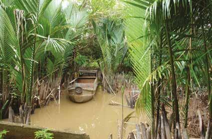 Ook een bezoek aan de Chinese wijk Cholon met bezichtiging van de Thien Hau Pagode en de Binh Tay groothandelsmarkt mag niet ontbreken.