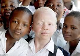 Afrikaans albino Nuristani vader en zoon: