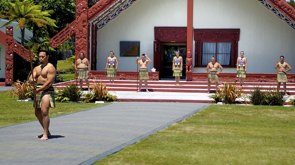 melken, flesvoeding lammeren en een spannende schapenveiling. Vertrek naar Te Puia en de Maori Arts & Crafts Centrum, het eerste Maori cultureel centrum in Nieuw-Zeeland.