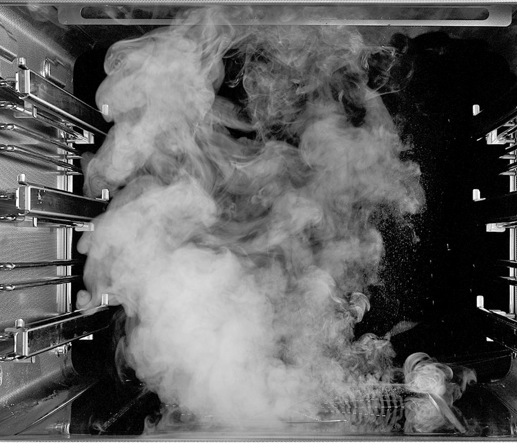 Combi-Steam ovens worden al lang gebruikt in professionele keuken en maken elke bereiding smakelijker.