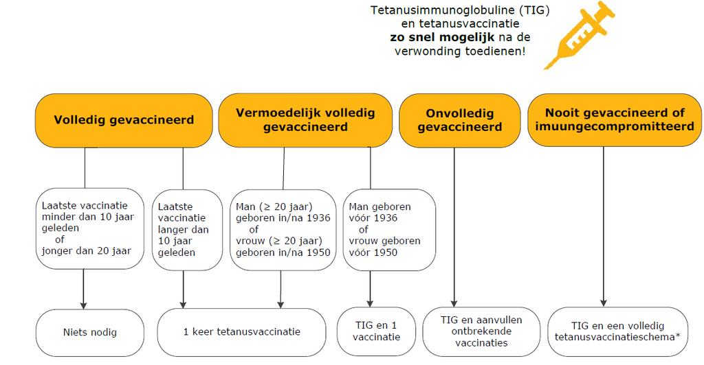 Incubatieperiode van tetanus: Tetanusprofylaxe? 24 uur tot 3 weken. Het is daarom belangrijk om TIG en tetanusvaccinatie zo snel mogelijk na de verwonding toe te dienen.