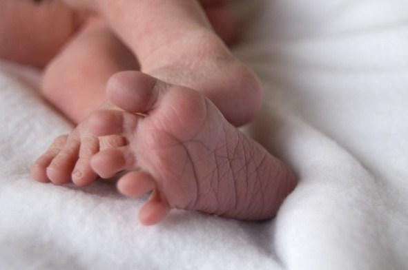 Geboorte KLAAS, kleinzoon van gewezen directeur Paul Helsen JACK, kleinzoon van oud - collega Mil Sysmans Wij wensen de ouders en heel de familie een dikke proficiat!