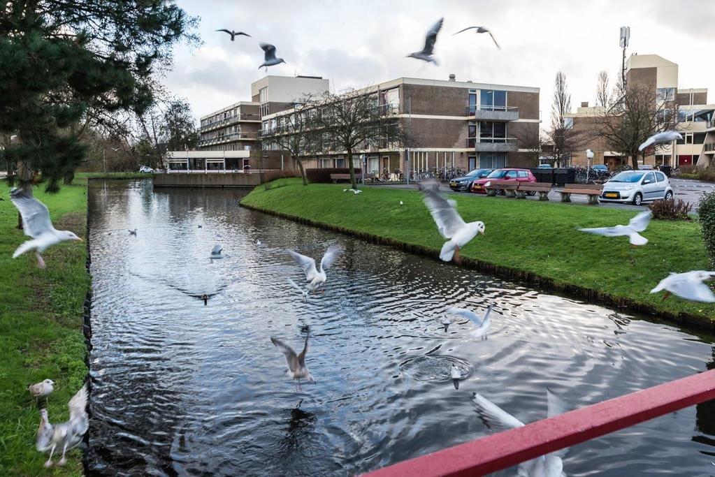 Robijnhof, Leiden Startjaar: 2016 Aantal woningen: 80 woningen en bewoners Doelgroepen: Statushouders, studenten en bewoners met een GGZ-achtergrond Huurcontract: tijdelijk contract op basis van de