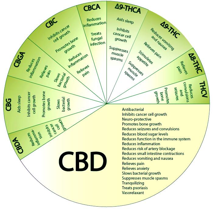 Waar wordt je high van Functies van CBD: werkt antibacterieel beschermt het zenuwsysteem stimuleert botgroei verlaagt de