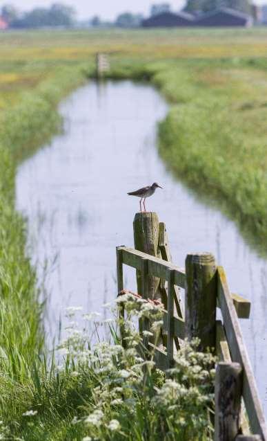 Inleiding Vereniging Natuurmonumenten, Natuurbegraven Nederland en Stichting Het Zuid-Hollands Landschap presenteren hierbij hun landschappelijke visie op natuur en recreatie in de Bonnenpolder in