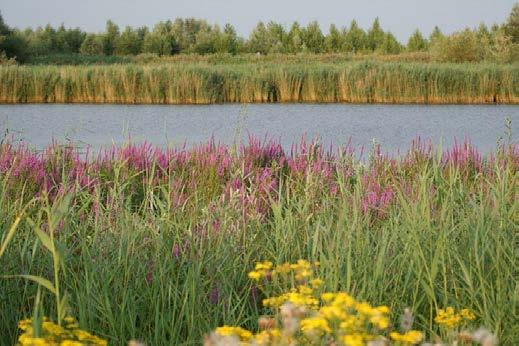 2 DAGTOCHT NAAR DE BIESBOSCH Onze jaarlijkse bustocht is gepland op donderdag 30 augustus 2018 (in het vorige Magazine was foutief vrijdag vermeld).