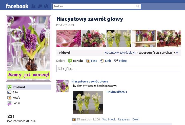 Promotie Hyacint 2011-2012 Waar Klik bereiken om de we modelstijlen onze doelgroep te in Polen?
