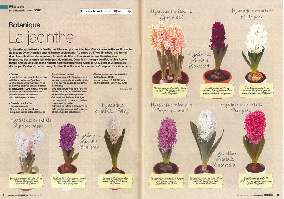 Extra publicatie Frankrijk Bloemistenmagazine Informations Fleuristes Publicatie