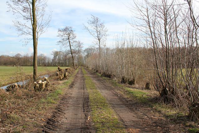 4 In totaal is er 46,15 uur aan veldwerk besteed. Dit komt neer op een gemiddelde onderzoeksintensiteit van 18,03 minuten per ha.