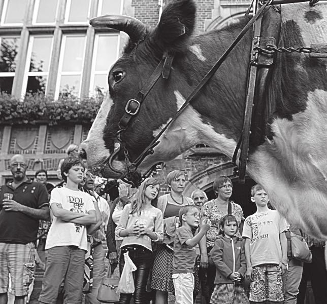 ANTIEK-, BROCANTE-, ROMMELMARKT EN MARKT VAN NIEUWE KOOPWAAR meer dan 100 standen en 10-tal ambachters VANAF 14 UUR l Oostakkerdorp Bredestraat - Ooistraat Inschrijven ten laatste op 20 augustus