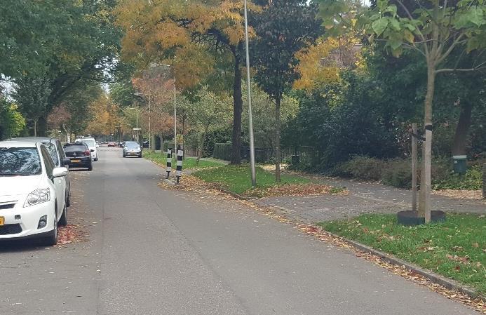 Door op de grasstroken langs de straat beplanting (in de vorm van bloemen) te plaatsen, wordt de functie van de straat (en de bijbehorende maximumsnelheid) meer benadrukt (quick-win).