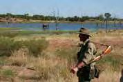 nestplaats. Een Lake Cruise Safari is een fantastische manier om de unieke wildernis en het wildlife in en om Lake Kariba te beleven.