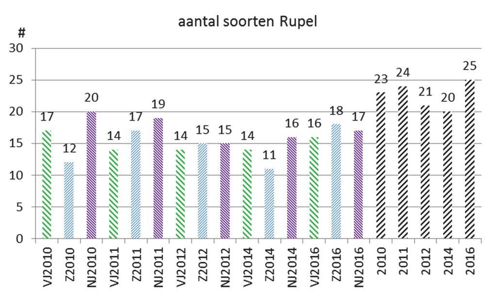 3.2.1 Rupel 3.2.1.1 Aantal soorten In 2016 vingen we 25 vissoorten op de Rupel (Tabel A in bijlage, Figuur 4). De meest gevangen soort was paling (10,5/fuikdag).