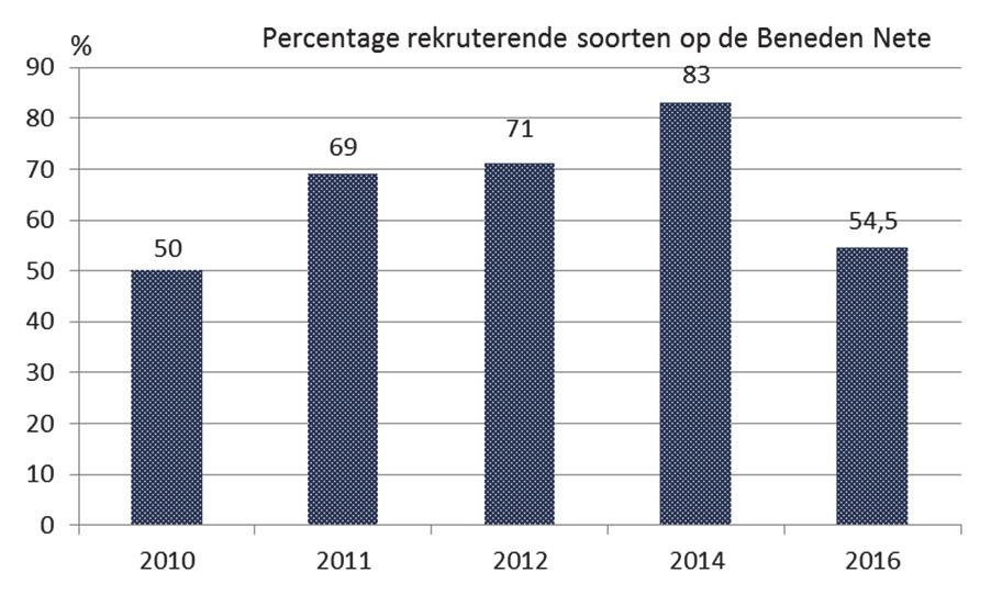 Figuur 46: Het percentage rekruterende soorten in de Beneden Nete (2010-2016). Rekrutering was lager in 2016 dan in 2011, 2012 en 2014 (Figuur 46).