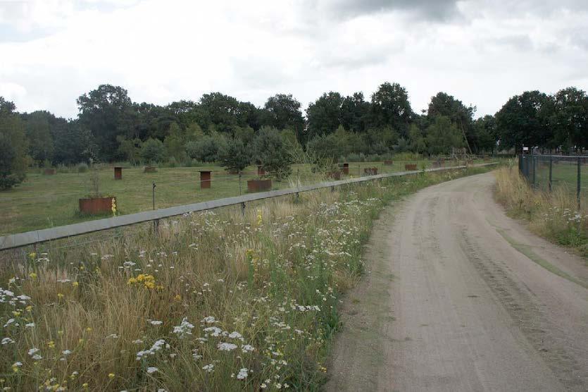 Eventing bos met natuurlijke