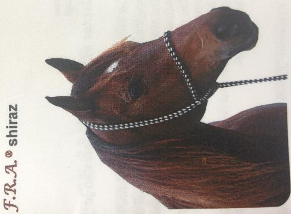ring te bevestigen bij extra druk wordt er scherper ingewerkt op de neus en wordt het paard dus strenger gecorrigeerd ook geschikt voor (het beleren van jonge paarden) aan de longe, er is geen bit