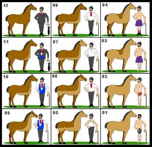 MANEGE DE EILANDRUITERS PAGINA 45 Scheerpatronen Het scheren van een paard Een paard wordt geschoren om te zorgen dat het paard niet zo veel zweet tijdens de training.