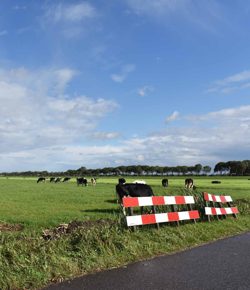 6 Voor- en nadelen