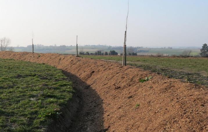 Globaal: bufferende werking in periodes van extreme droogte of extreem natte omstandigheden (voorbeeld: