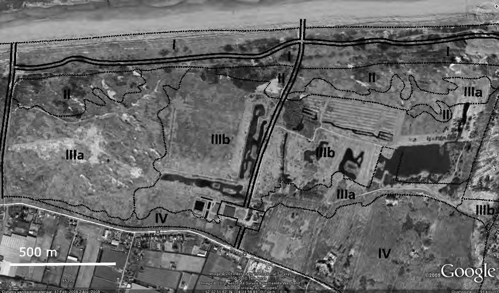 Korstmossen in Solleveld, een eerste verkenning tot de zogenaamde Oude Duinen, die ongeveer 5000 tot 3500 jaar geleden zijn gevormd. De zeereep is een langgerekte smalle duinrug met hoge vlaktes.