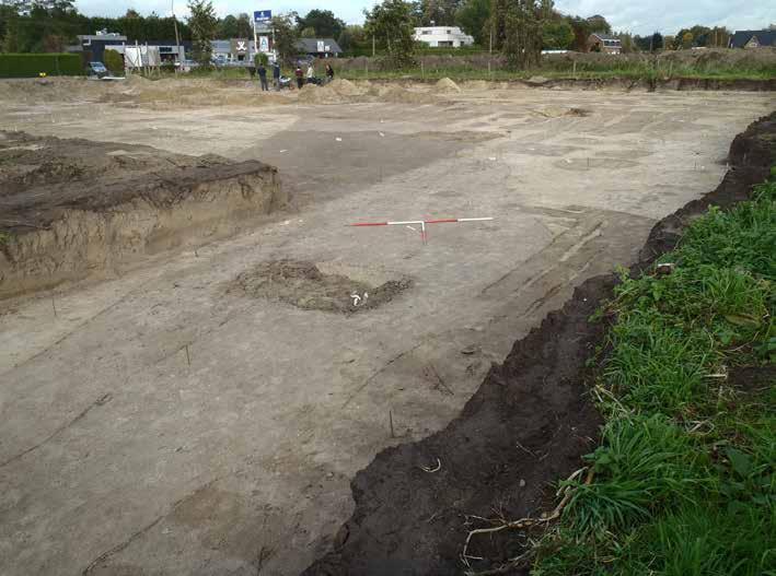 Archeologisch onderzoek Destelbergen - Panhuisstraat 2011 193 Figuur 258: Terreinopname vanuit de zuidwestelijke hoek van zone, met zicht op gracht 0003/0182/0233 vooraleer het een abrupt einde kent.