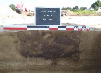 Archeologisch onderzoek Destelbergen - Panhuisstraat 2011 199 Figuur 269: De doorsnede op paalspoor M0314 densiteit aan Romeinse sporen in deze zone.