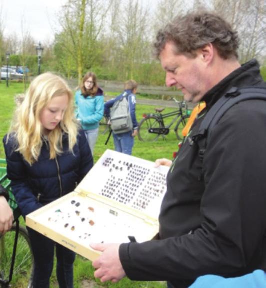 Ook voor de bestuiving van de wilde planten zijn ze onmisbaar. In het project Nederland Zoemt gaan we onderzoek doen naar wilde bijen.